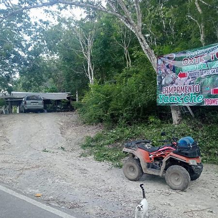 Campamento Yaax Che En Calakmul Конуас Экстерьер фото
