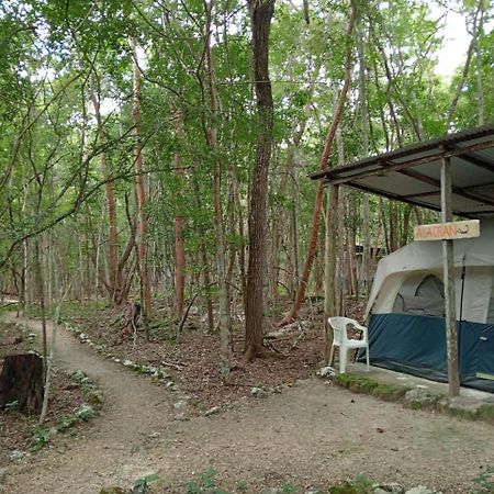 Campamento Yaax Che En Calakmul Конуас Экстерьер фото
