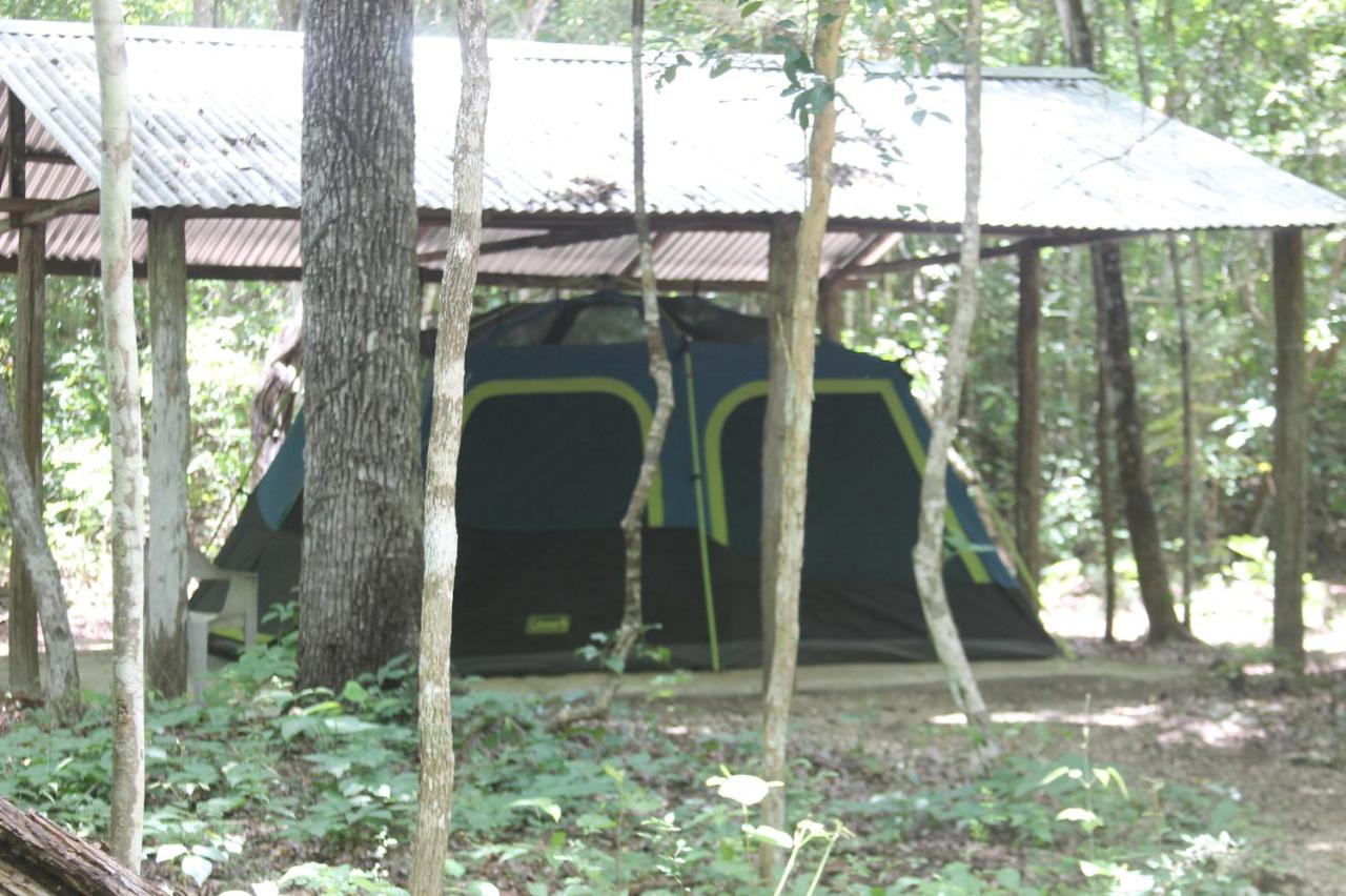 Campamento Yaax Che En Calakmul Конуас Экстерьер фото