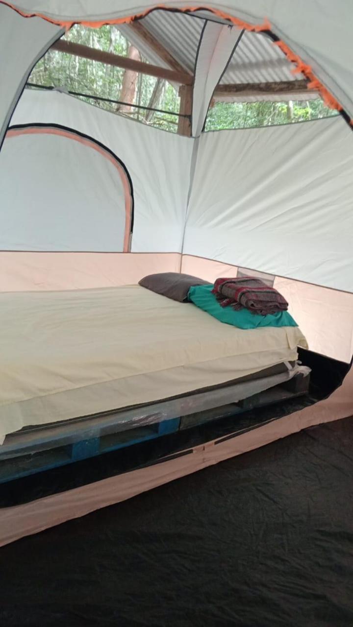 Campamento Yaax Che En Calakmul Конуас Номер фото