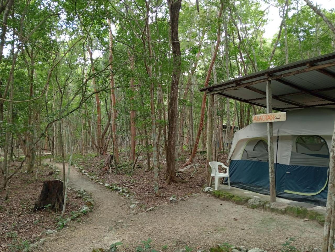 Campamento Yaax Che En Calakmul Конуас Экстерьер фото