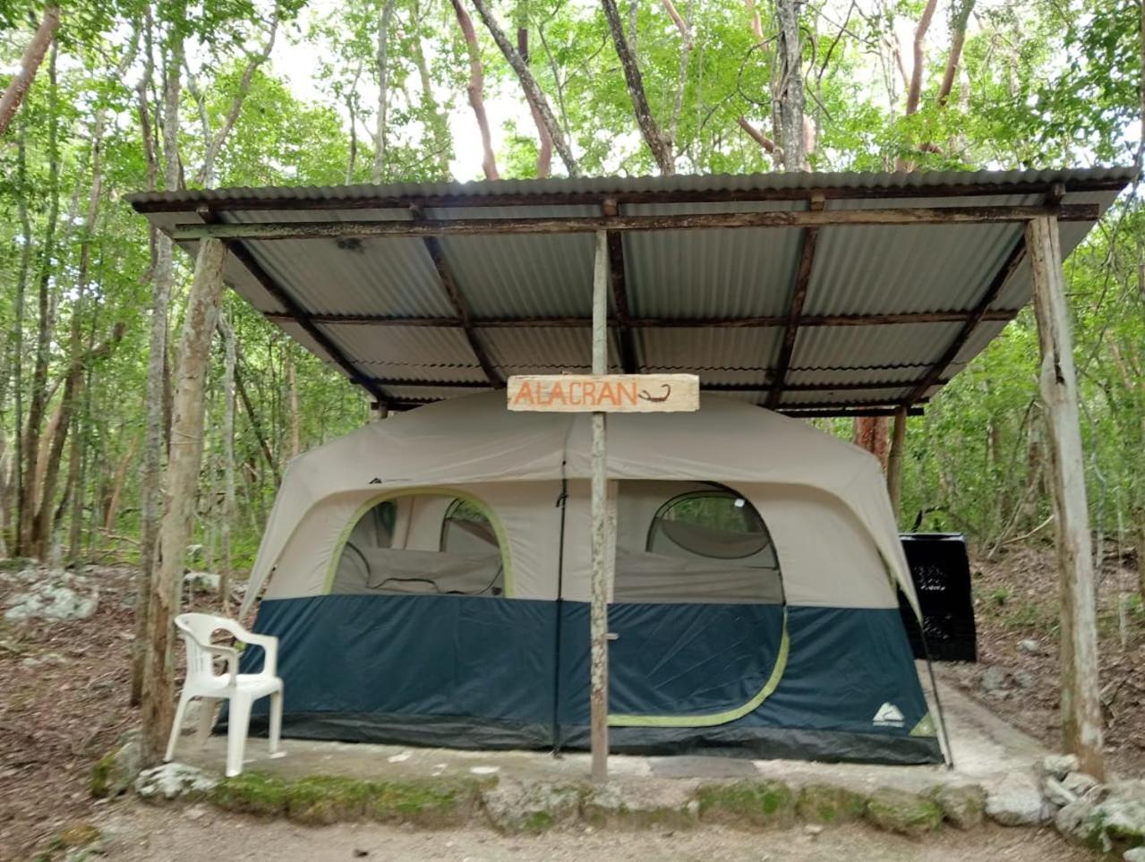 Campamento Yaax Che En Calakmul Конуас Номер фото