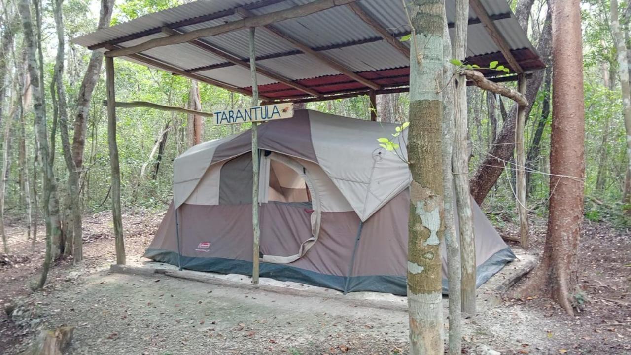 Campamento Yaax Che En Calakmul Конуас Номер фото