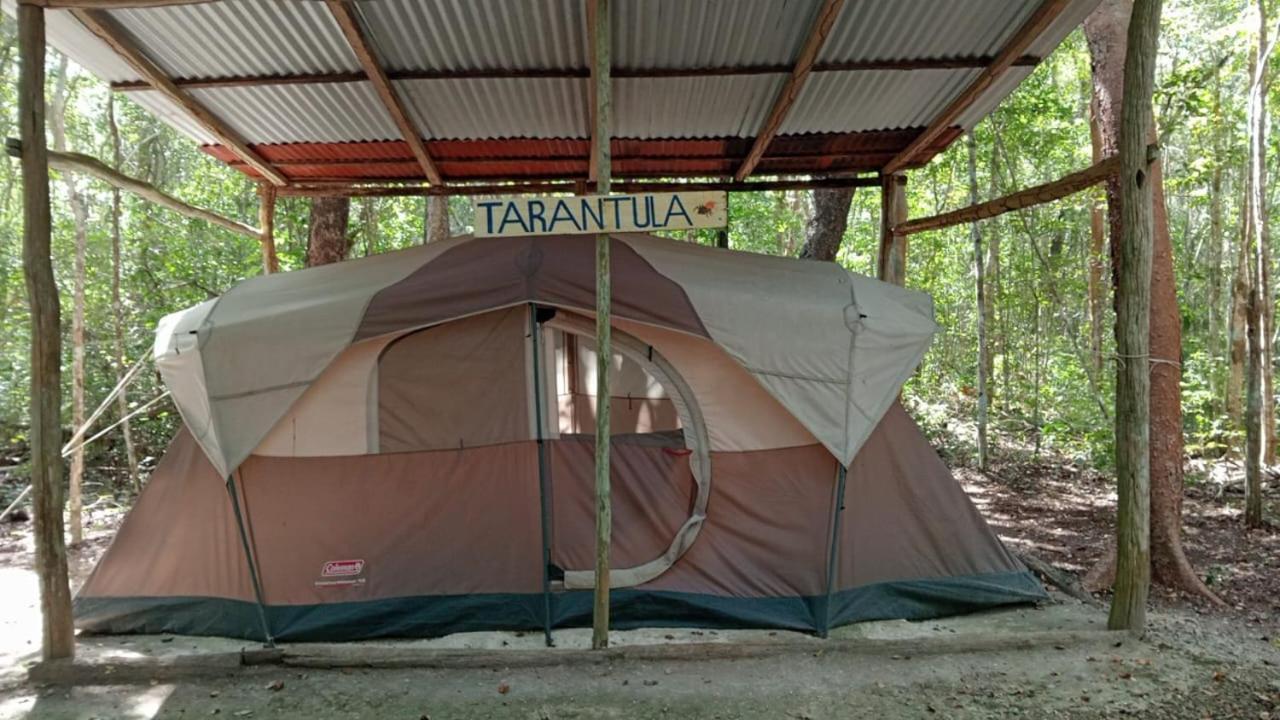Campamento Yaax Che En Calakmul Конуас Номер фото