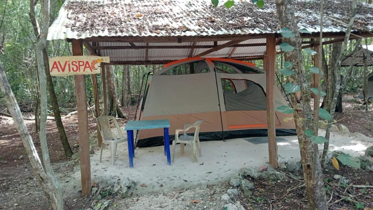 Campamento Yaax Che En Calakmul Конуас Номер фото