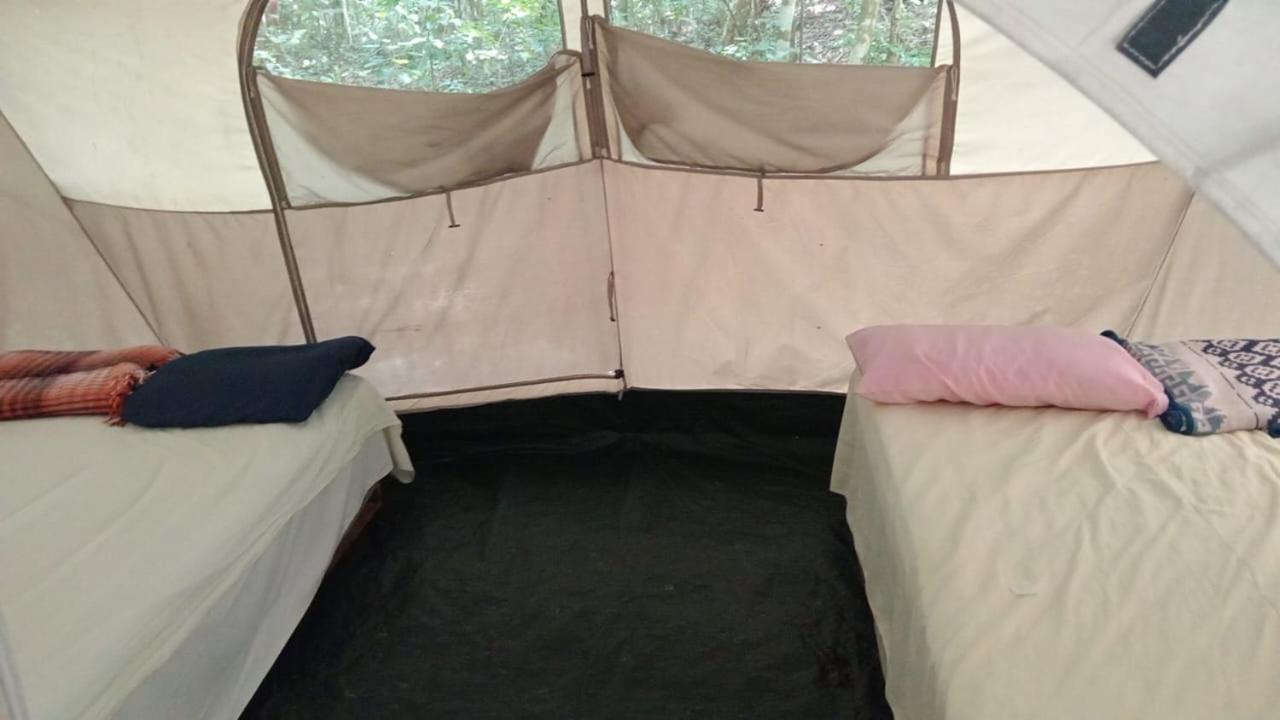 Campamento Yaax Che En Calakmul Конуас Номер фото