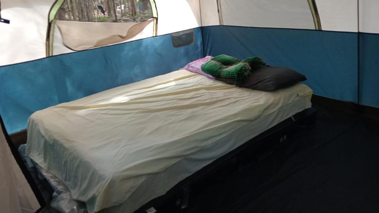 Campamento Yaax Che En Calakmul Конуас Номер фото
