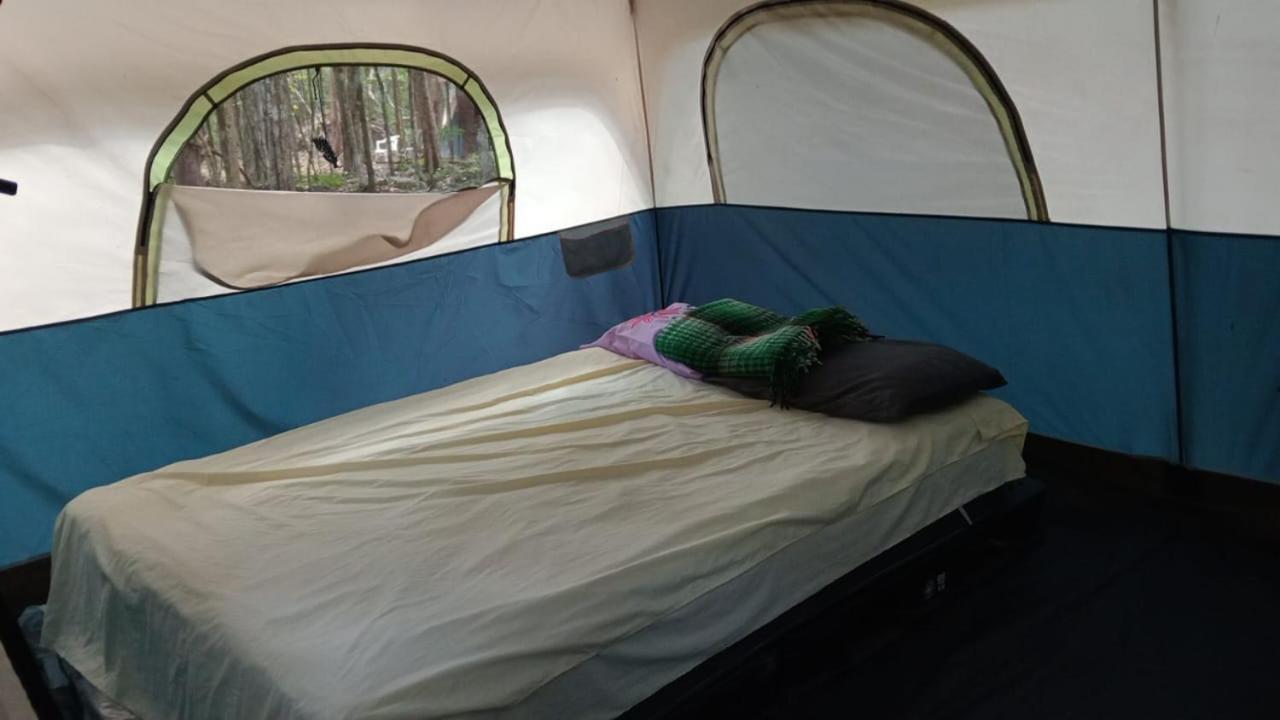 Campamento Yaax Che En Calakmul Конуас Номер фото