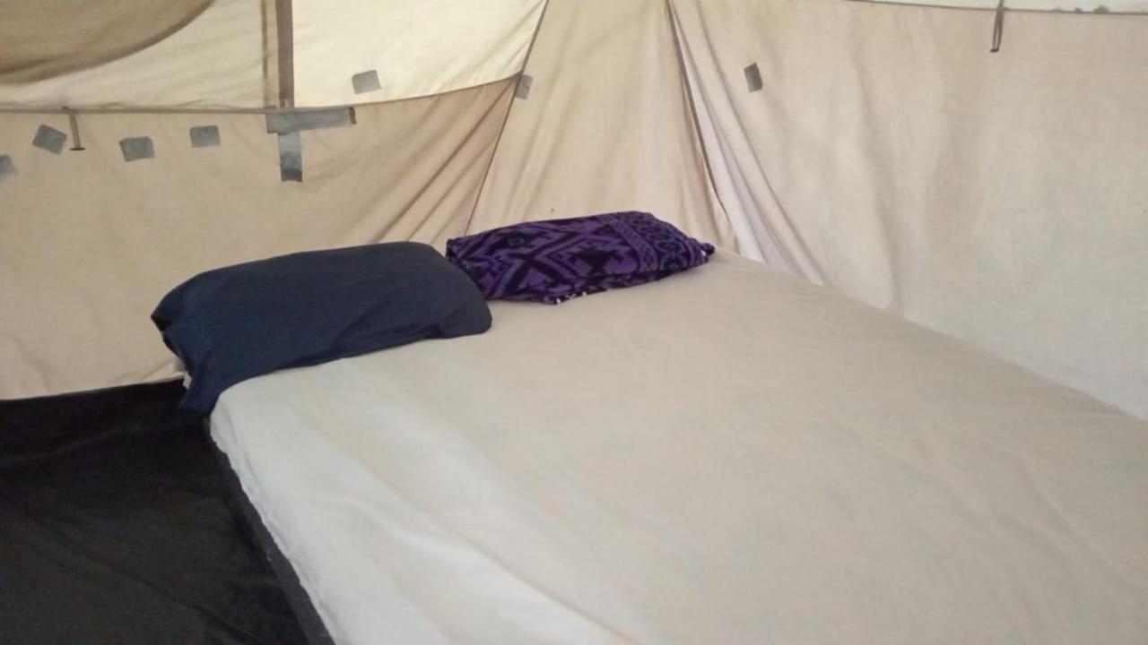 Campamento Yaax Che En Calakmul Конуас Номер фото
