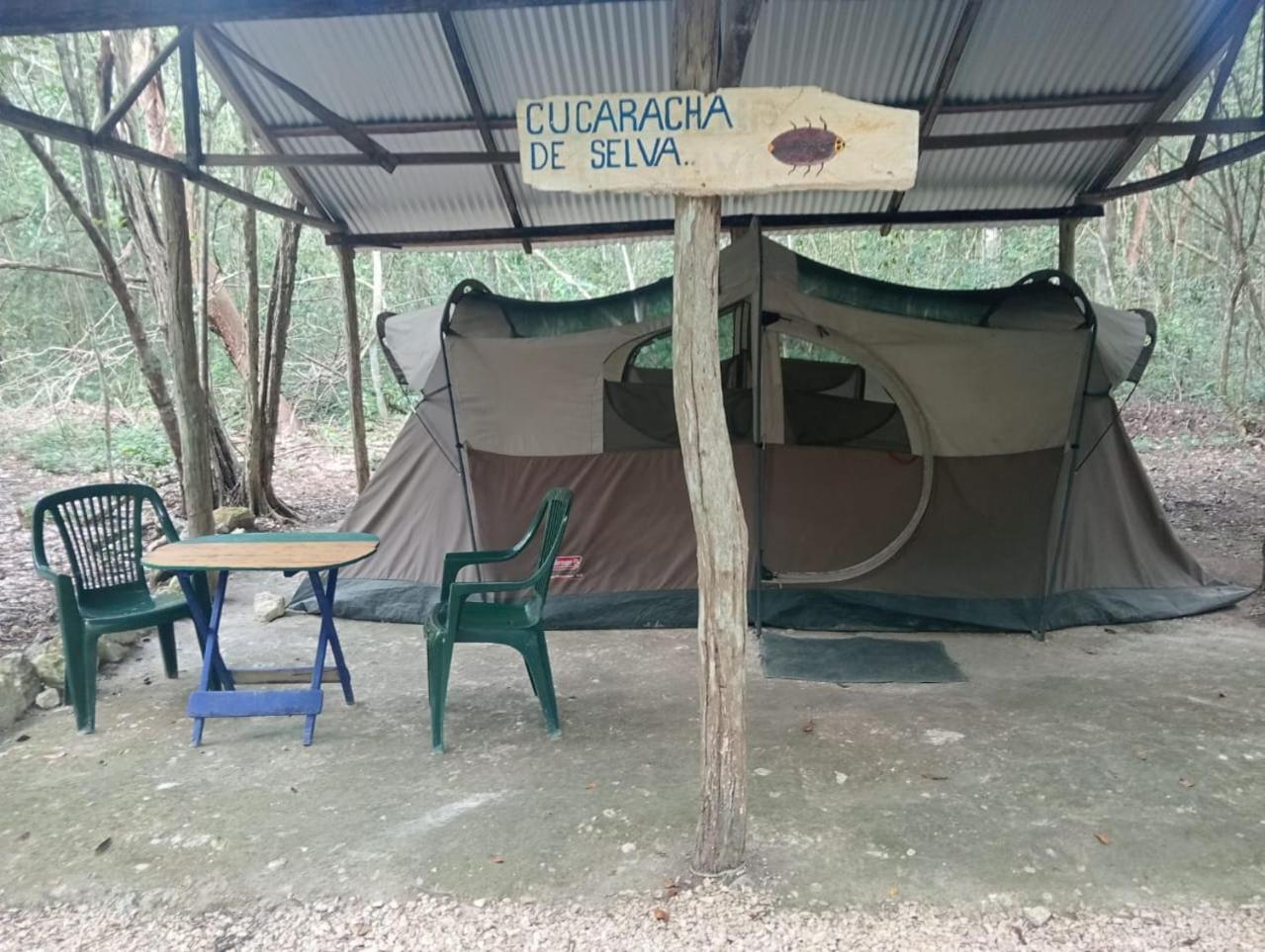 Campamento Yaax Che En Calakmul Конуас Номер фото