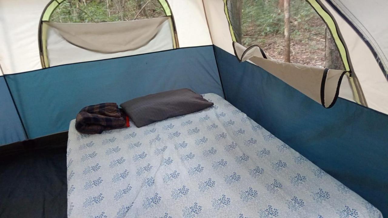 Campamento Yaax Che En Calakmul Конуас Номер фото