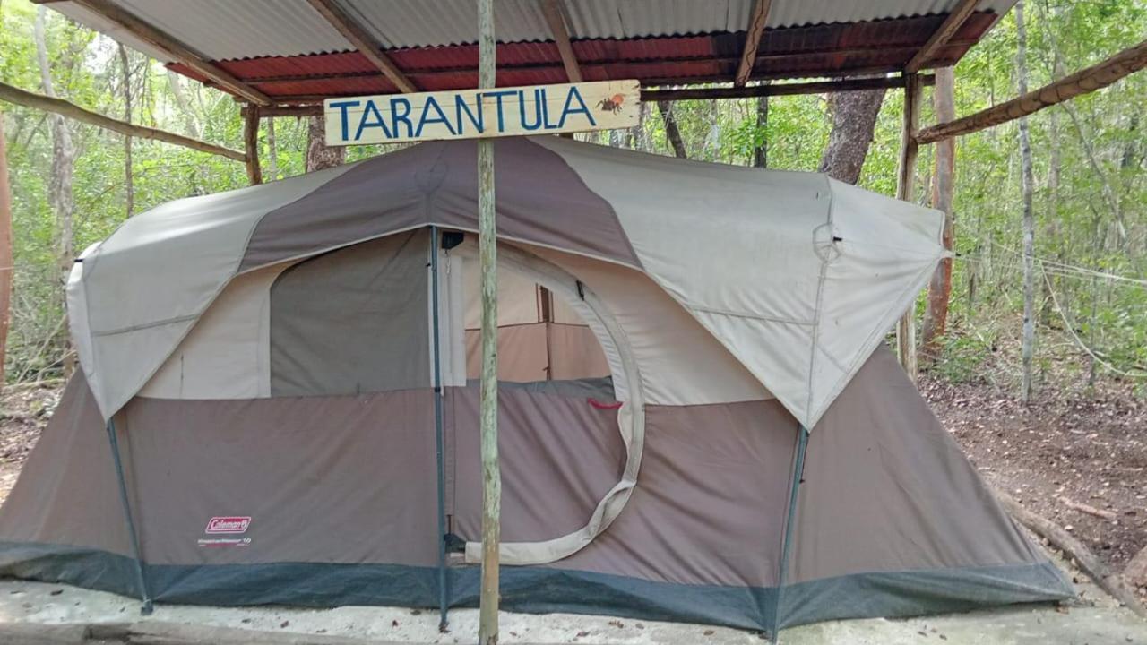 Campamento Yaax Che En Calakmul Конуас Экстерьер фото