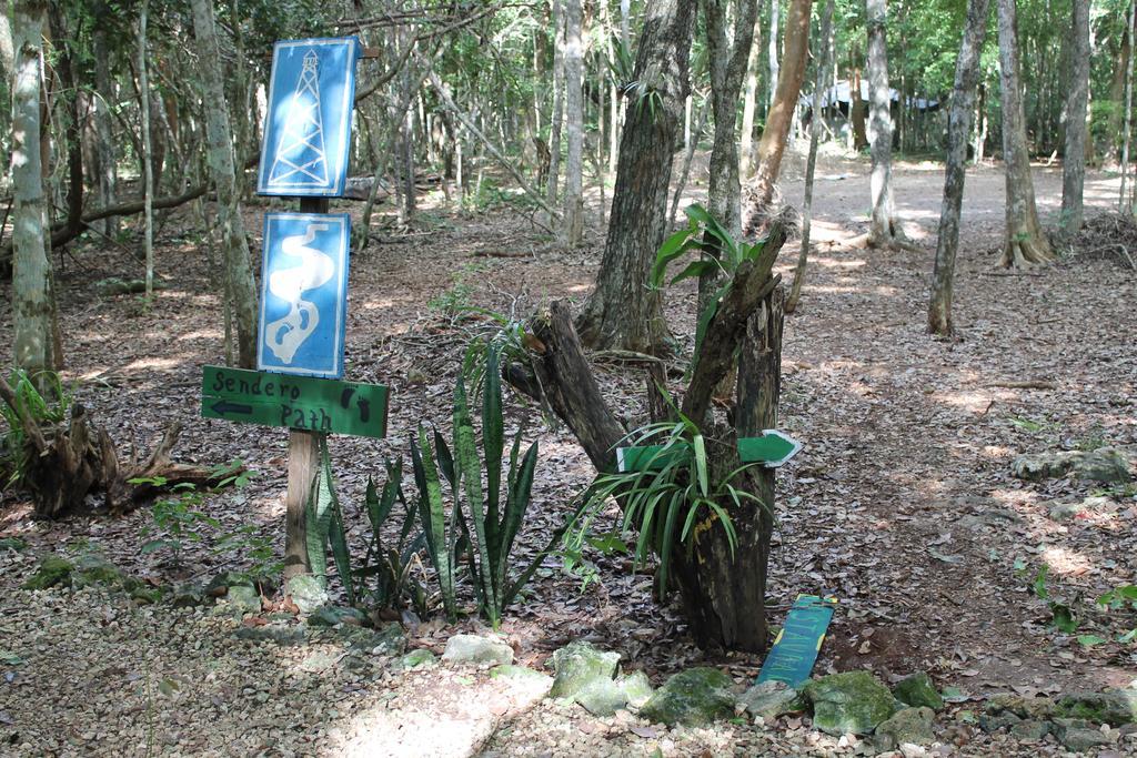 Campamento Yaax Che En Calakmul Конуас Экстерьер фото