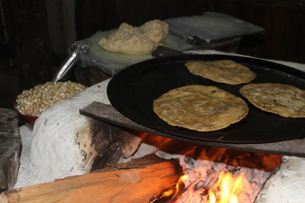 Campamento Yaax Che En Calakmul Конуас Экстерьер фото